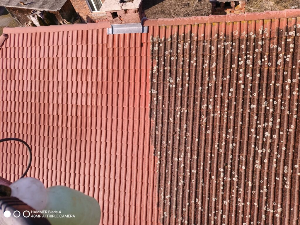 1739700861858-crop-1000001632